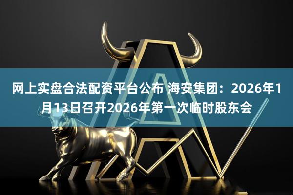 网上实盘合法配资平台公布 海安集团：2026年1月13日召开2026年第一次临时股东会