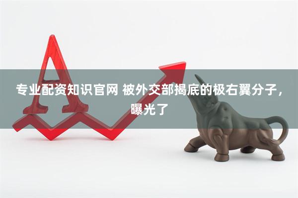 专业配资知识官网 被外交部揭底的极右翼分子，曝光了